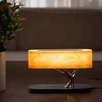 Fancy modern bedside decorate wireless charging luxury table lamp led wood